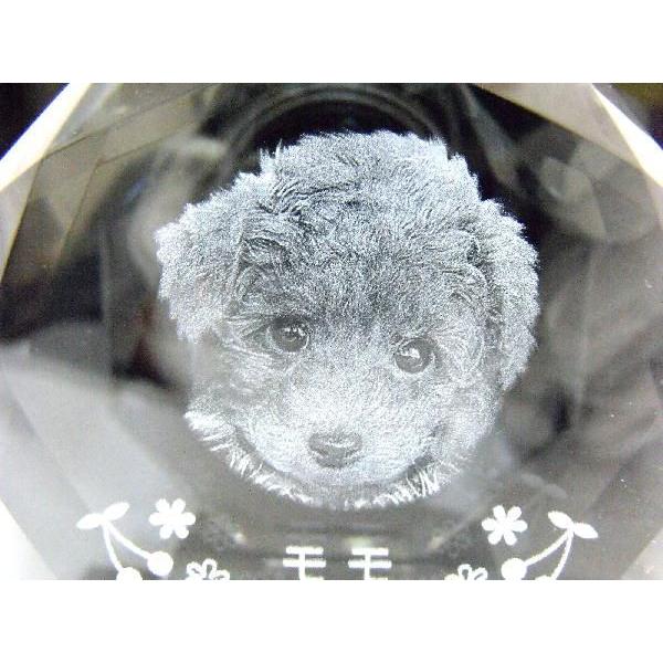 【 ペット位牌 】 位牌 クリスタル位牌 星型 遺影 モダン位牌 ペット仏具 モダン仏具 手元供養 犬 猫【108】_3
