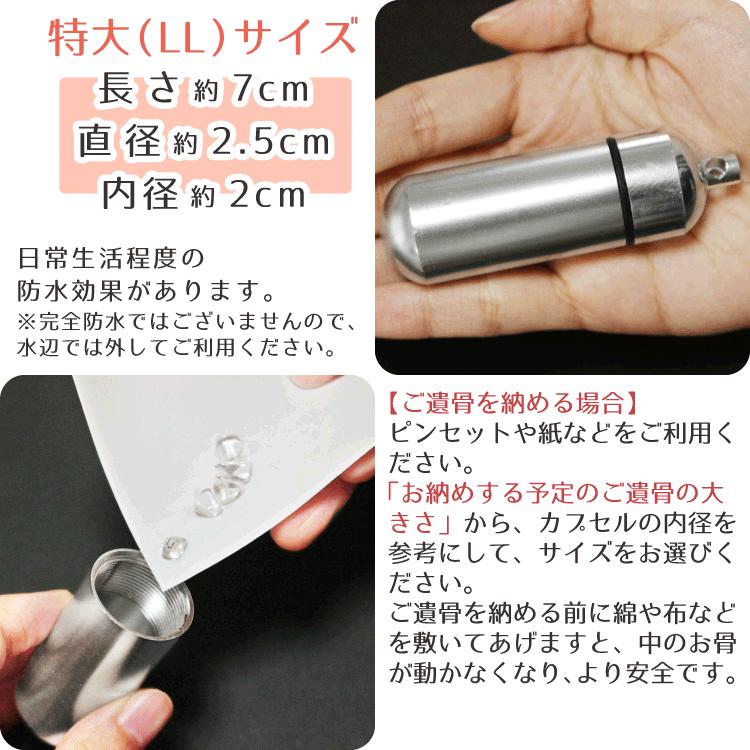 遺骨カプセル メモリアルケース(特大) ホルダーフックつき : 手元供養