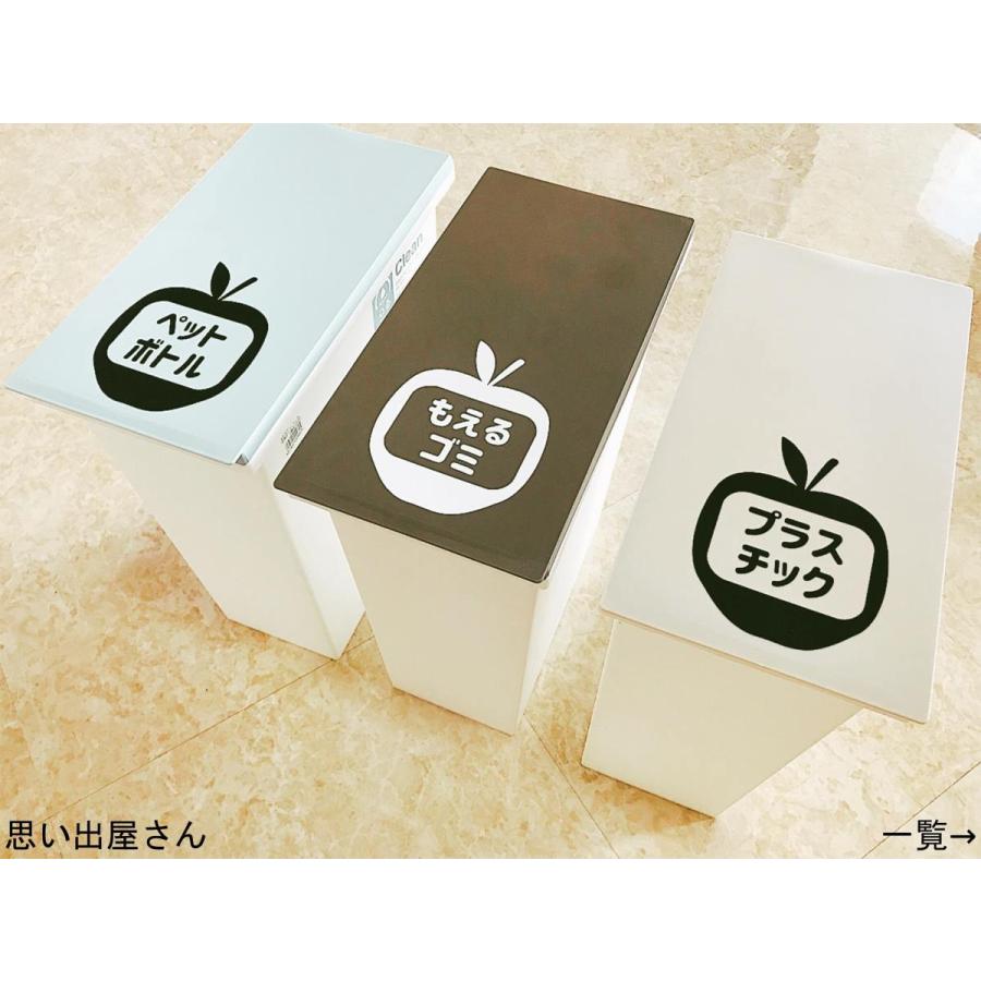ゴミラベル ゴミ分別シール 子供たちにも分かりやすく りんごが可愛いゴミ分別シール 燃えるゴミ 燃えないゴミ他 ゴミ分別ステッカー Dustbox003 思い出屋さん 通販 Yahoo ショッピング