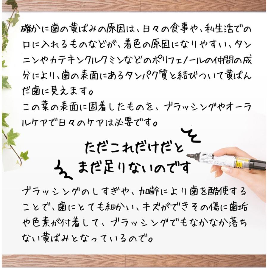 Be89 歯磨き粉 ホワイトニング 医薬部外品 薬用 歯磨き 【歯 を 白く する はみがき粉 】口臭 むし歯 歯周炎 予防 日本製 90g (ペースト) | dot. | 07