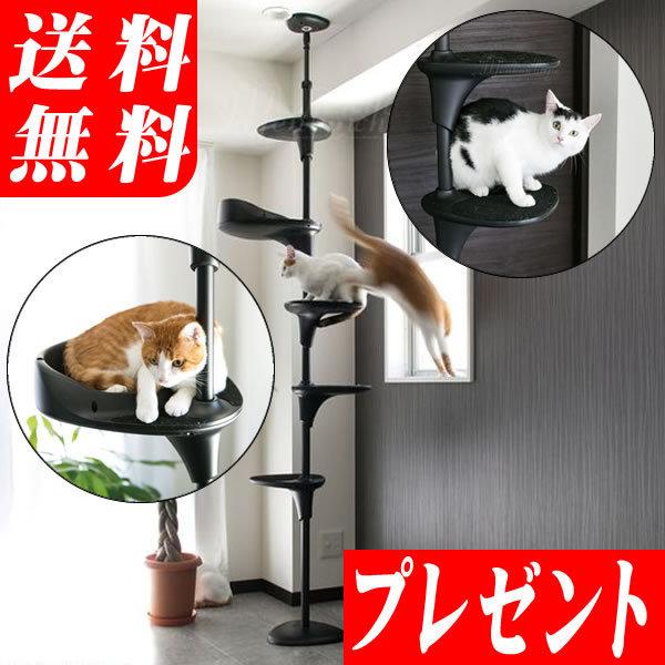 100 の保証 Oppo キャットフォレスト ブラック 商品券プレゼント 省スペース 突っ張り式のスリムで おしゃれなキャットタワー オッポ Catforest 安い購入 Talentoindustrial Com