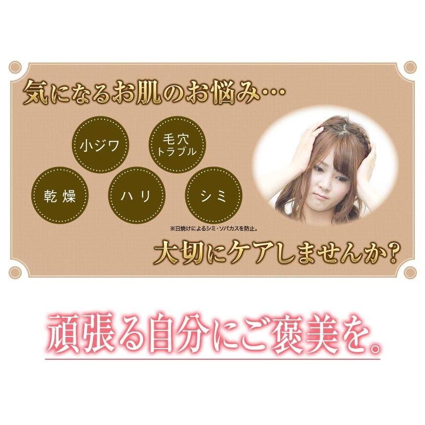 特典あり) ポイント増量 業務用炭酸パック ブランジュ・プロ 20回分