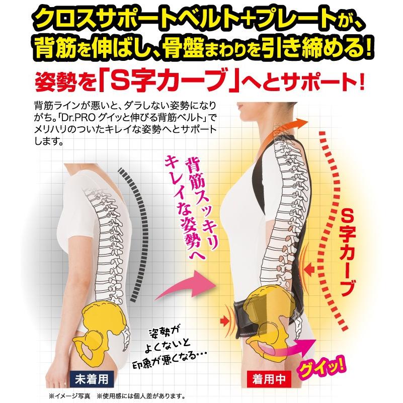 68%OFF!】 家庭用永久磁石磁気治療器 肩 腰すっきり背筋ベルト サポーター 血行促進 背筋姿勢 骨盤引締め 磁力 kogler.at 68%OFF!】 家庭用永久磁石磁気治療器 肩 腰すっきり背筋ベルト サポーター 血行促進 背筋姿勢 骨盤引締め 磁力 kogler.at