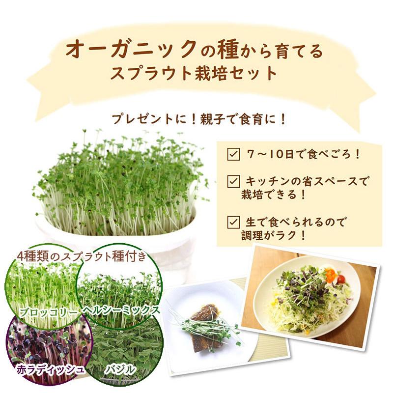 全ての オーガニックの種から育てるスプラウト栽培セット 3個セット 送料無料 4種類のスプラウト種付き 発芽パワー 健康 栄養 Mr 3018 3 珍しい Www Iacymperu Org