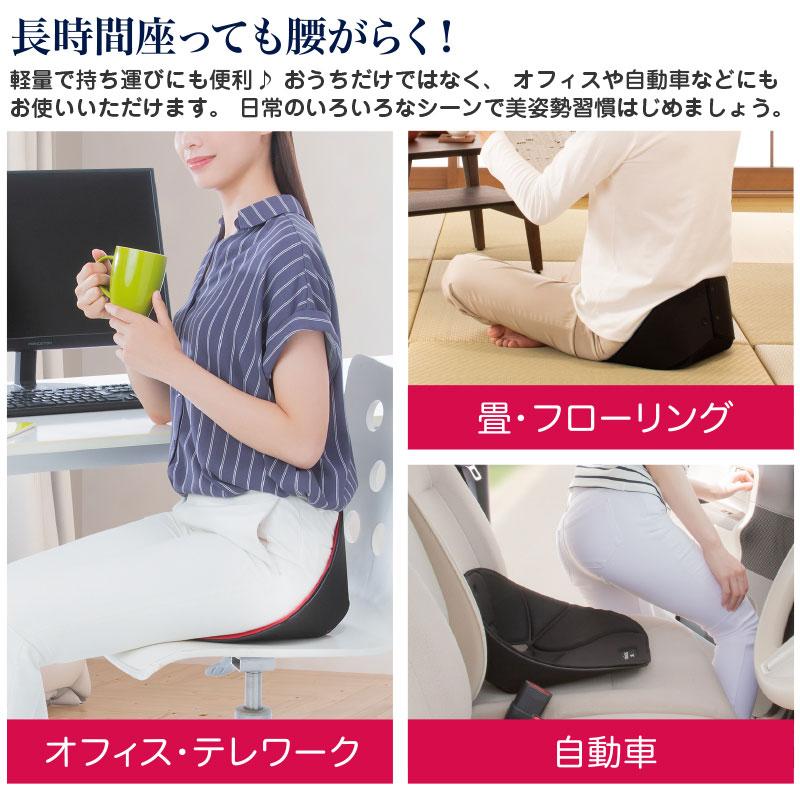 (特典あり) ポイント増量 ボードクッション cosios PREMIUM コシオスプレミアム 選べる2個セット 姿勢矯正 腰 骨盤矯正 背筋 腰痛対策 猫背改善 腰クッション_3
