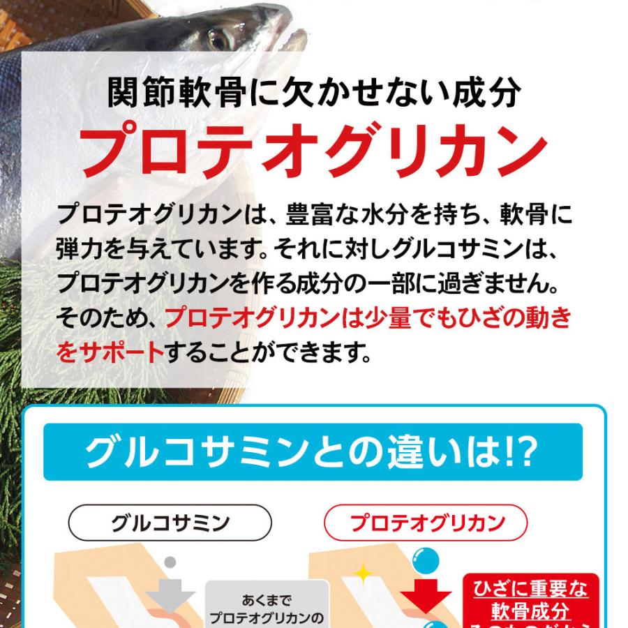 機能性表示食品 ひざのみかたW サプリメント 関節 ひざ痛対策