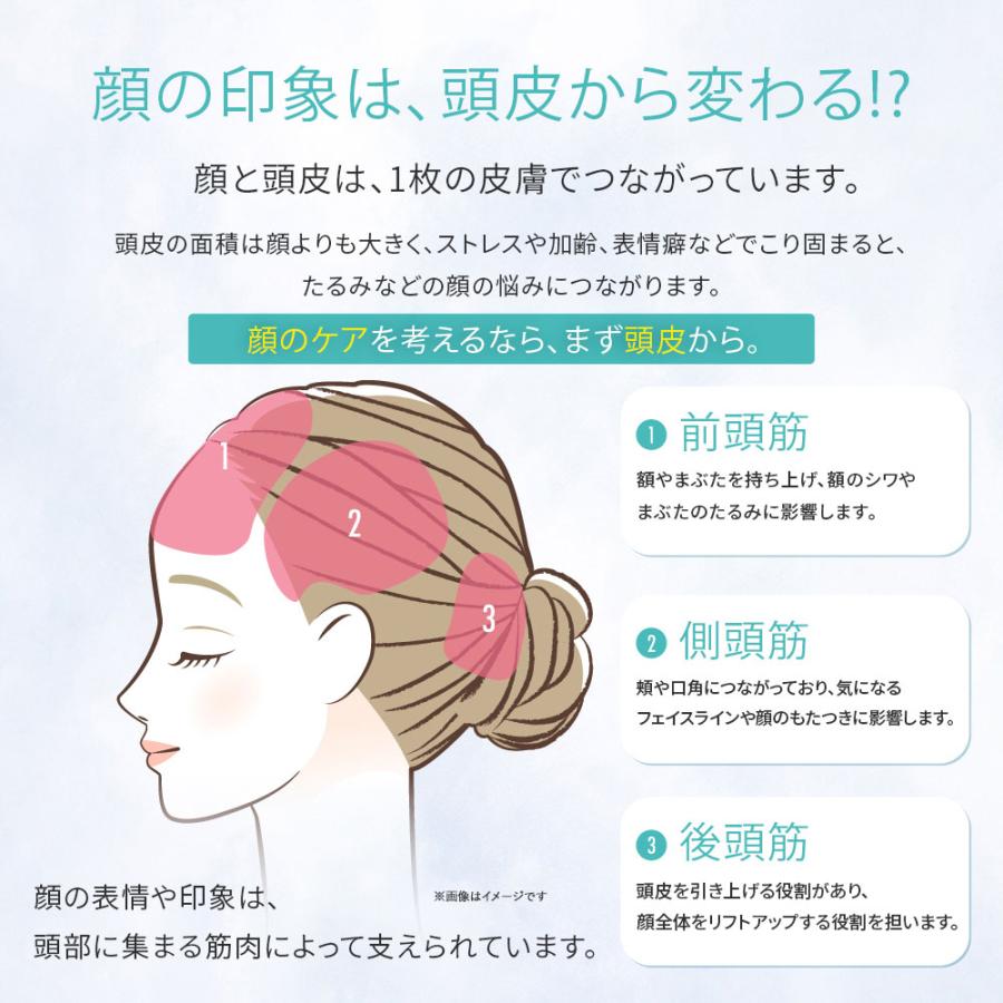 特典あり) ポイント増量 icoelle イコエル EMSスパブラシ EMS頭皮ケア