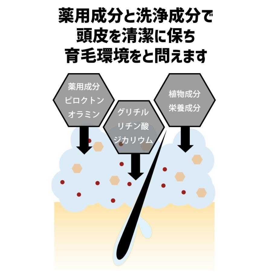 新生活応援SALE シャンプー メンズ スカルプケア DiNOMEN 薬用 リンスイン シャンプー 1000ml ×2本 育毛 頭皮 薄毛 抜毛 ふけ かゆみ 臭い 予防｜menscosme｜14