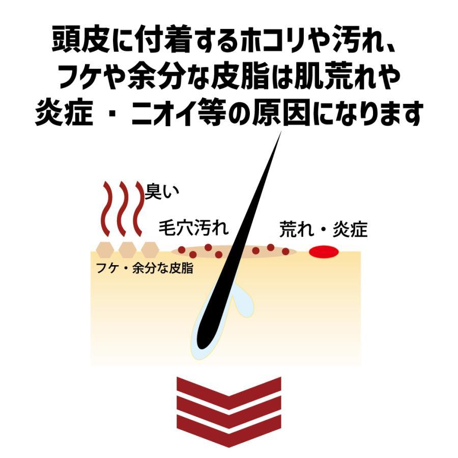 シャンプー メンズ スカルプケア DiNOMEN 薬用スカルプケア リンスイン シャンプー 1000ml×8本 フケ かゆみ 抜毛 薄毛 ボタニカル 男性 共同購入 父の日｜menscosme｜13