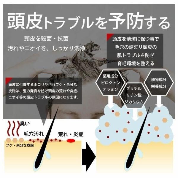 DiNOMEN 薬用 スカルプケア リンスイン シャンプー  1000ml ＆ 薬用 スカルプケア ボタニカル トリートメント500ML 育毛 フケ かゆみ 抜毛 薄毛 枝毛 父の日｜menscosme｜06