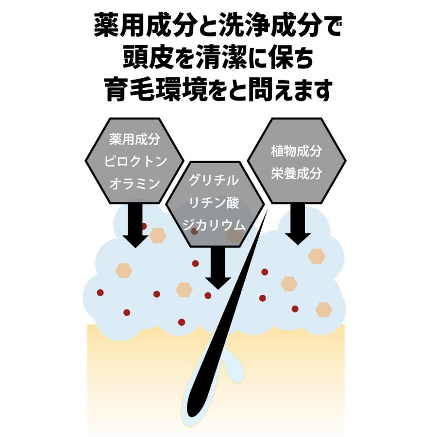 シャンプー メンズ DiNOMEN 薬用スカルプケア リンスイン シャンプー 1000ml 頭皮ケア フケ かゆみ 抜毛 薄毛 育毛 ボタニカル 男性 乾燥 予防 父の日｜menscosme｜14