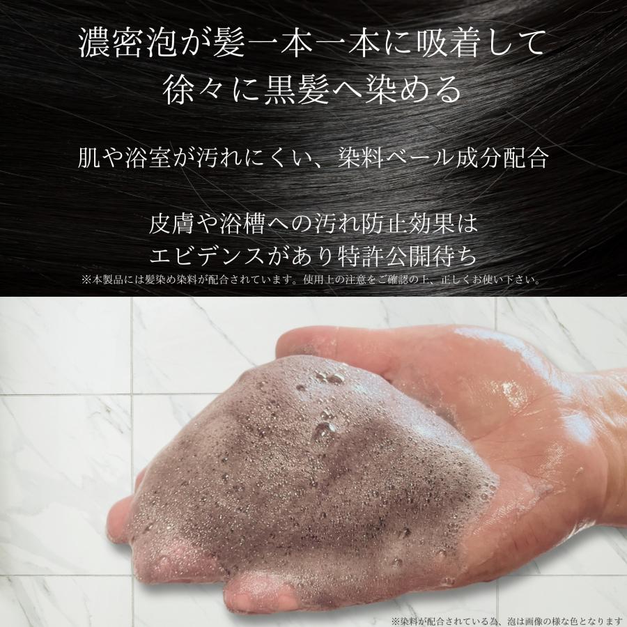 DiNOMEN 白髪染め シャンプー ヘアカラー 染髪 ノアール リペア 白髪 