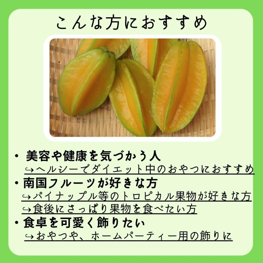優品 スターフルーツ 約4kg沖縄県産 沖縄県産のトロピカルフルーツ