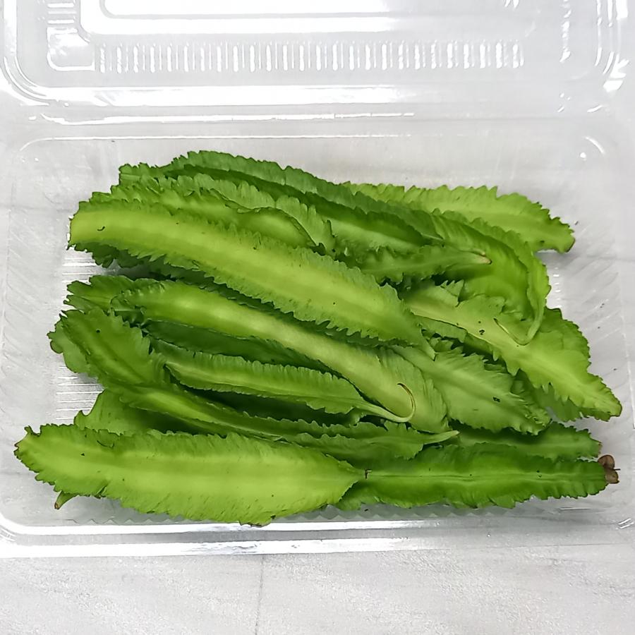 うりずん豆（四角豆）3パック (約300g) 【発送4〜10月】沖縄県産