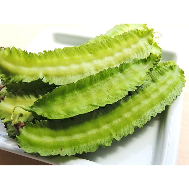 うりずん豆（四角豆）3パック (約300g) 【発送4〜10月】沖縄県産