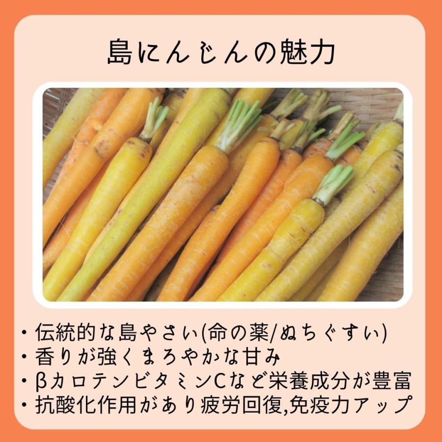 島にんじん（チデークニ）500g 【発送12〜2月】 滋養食として重宝され