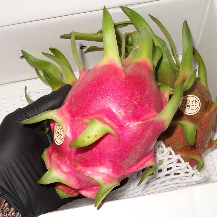 秀品 ドラゴンフルーツ 赤 約2kg(3〜6玉) 沖縄県産 : 沖縄市場たま青果