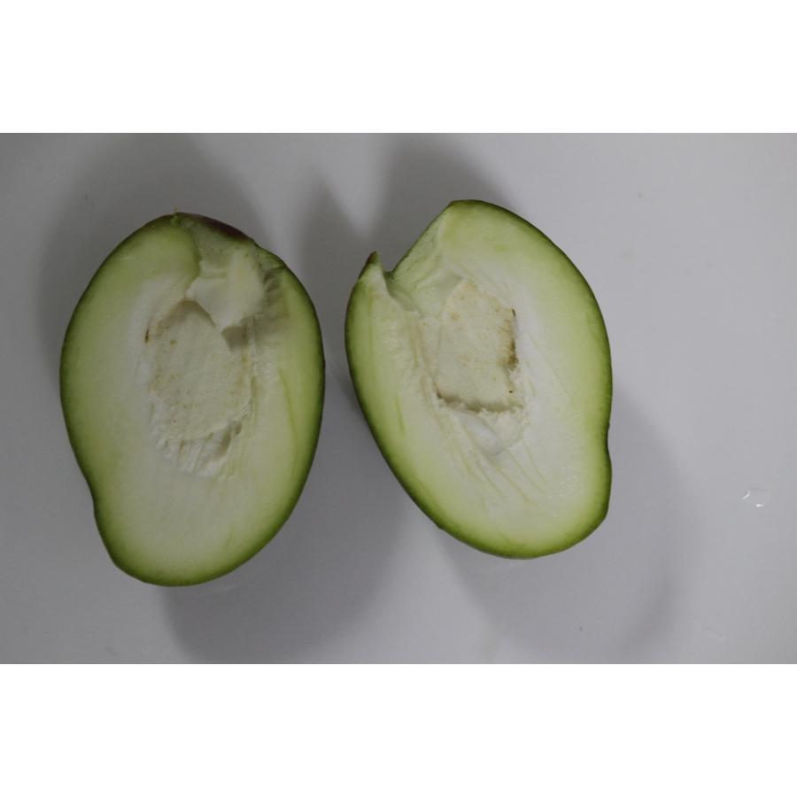 青マンゴー1kg (未熟で酸っぱいマンゴー）マムアンディップ : 沖縄