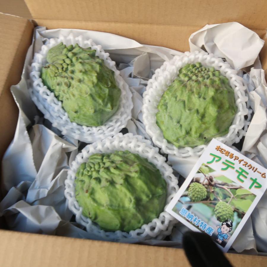アテモヤ 優品 約400〜600g（1〜3玉）ちょっとした贈り物にも お試し
