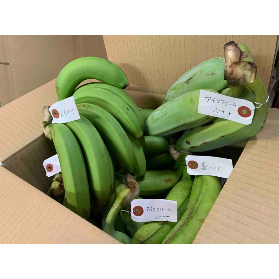 お任せバナナ 食べ比べ 4kg 2〜4種 (日付指定不可) （三尺バナナ/島