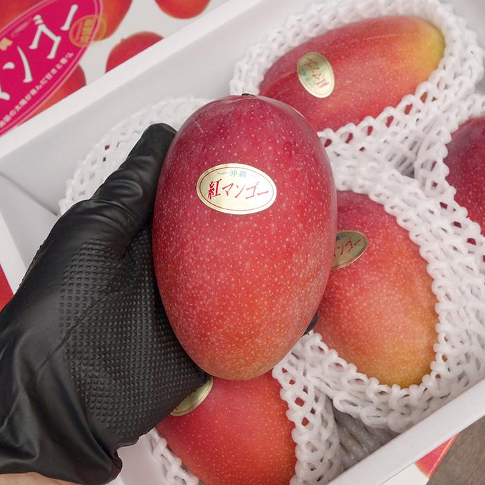 紅マンゴー 優品 1箱1.8kg前後（3〜6玉）【発送7月〜8月】沖縄県産