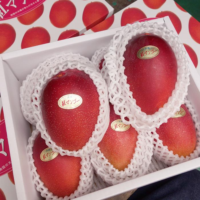 紅マンゴー 優品 1箱1.8kg前後（3〜6玉）【発送7月〜8月】沖縄県産