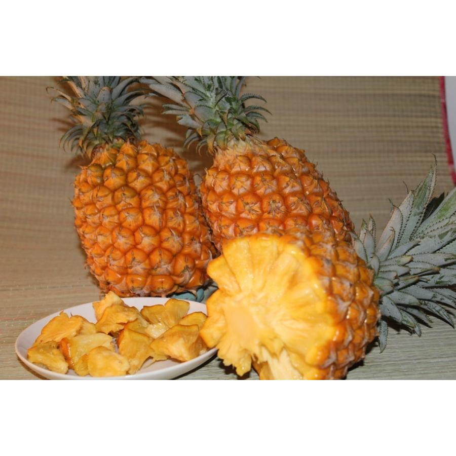 沖縄県産スナックパイン 冠芽なし １０kg １3 ２４玉 発送４ ９月 送料無料 パイナップル Bgpain 10 沖縄市場たま青果 通販 Yahoo ショッピング