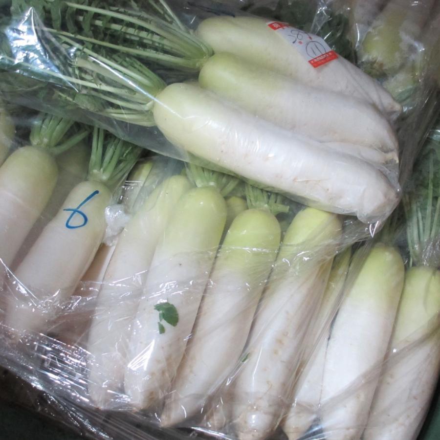 沖縄県産 鮮度抜群 採れたて葉付き島大根 ５kg ３ 4本 Daikonsale5 沖縄市場たま青果 通販 Yahoo ショッピング