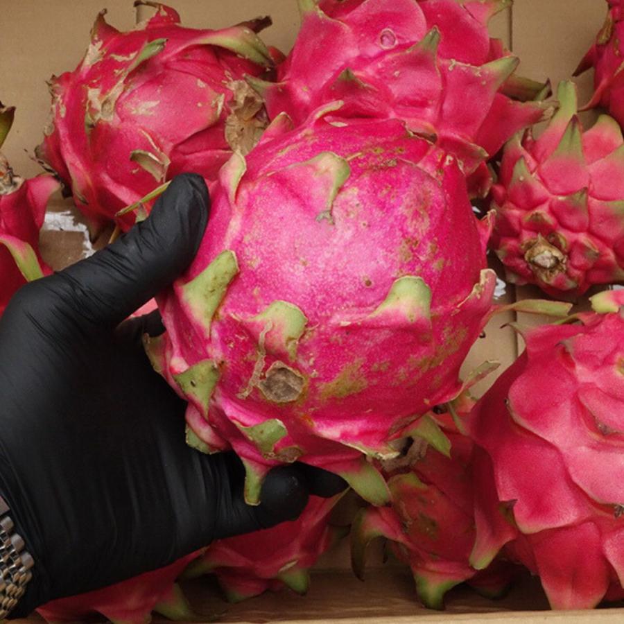 優品 ドラゴンフルーツ 2Kg 赤（3〜6玉）発送7月〜12月沖縄県産 : 沖縄