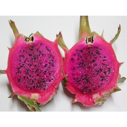 優品 ドラゴンフルーツ 2Kg 赤（3〜6玉）発送7月〜12月沖縄県産 : 沖縄