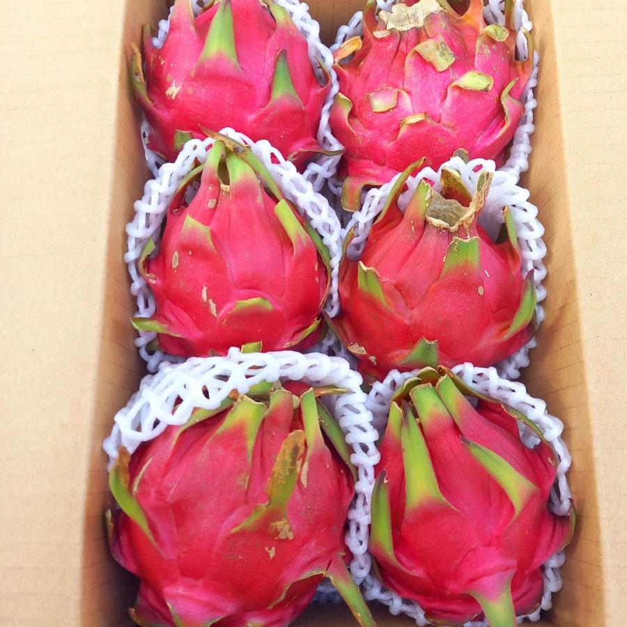 優品 ドラゴンフルーツ 2Kg 赤（3〜6玉）発送7月〜12月沖縄県産 : 沖縄