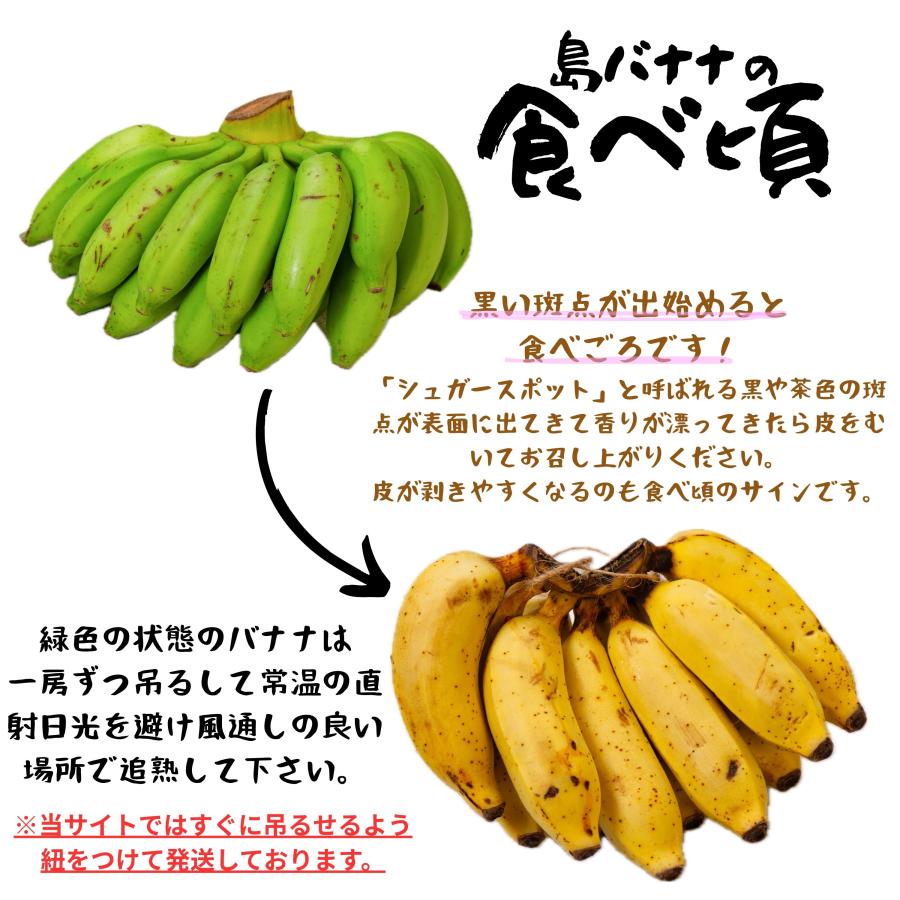 島バナナ 約4kg 市場に出回らない希少な「幻の島バナナ」 : 沖縄市場