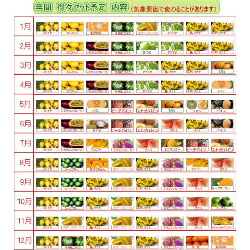 お任せフルーツセット 1〜5種類 お楽しみ福袋【6か月計6回サブスク