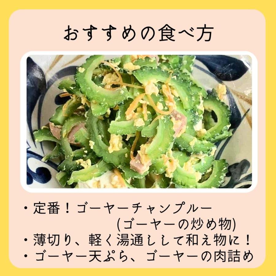 ゴーヤー 1kg 沖縄県産【発送年中】 : 沖縄市場たま青果 - 通販