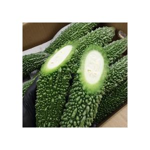ゴーヤー 1kg 沖縄県産【発送年中】 : 沖縄市場たま青果 - 通販