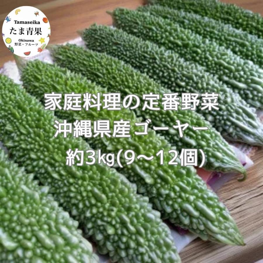 ゴーヤー 3kg 【年中発送】沖縄県産 : 沖縄市場たま青果 - 通販