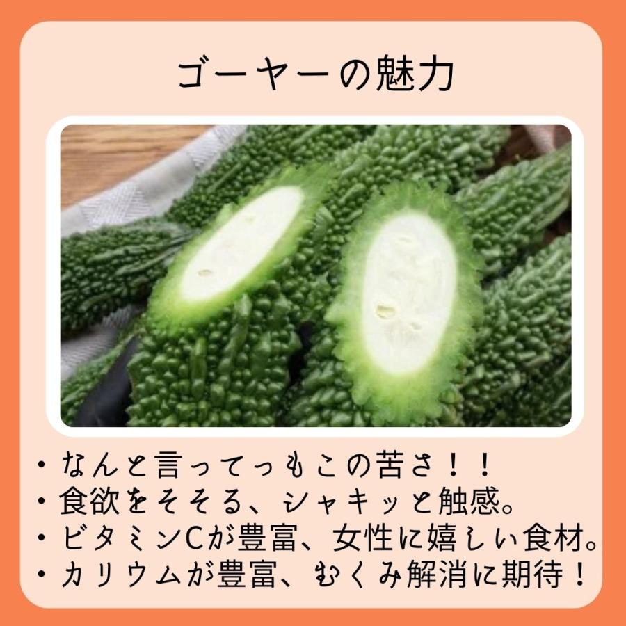 ゴーヤー 3kg 【年中発送】沖縄県産 : 沖縄市場たま青果 - 通販