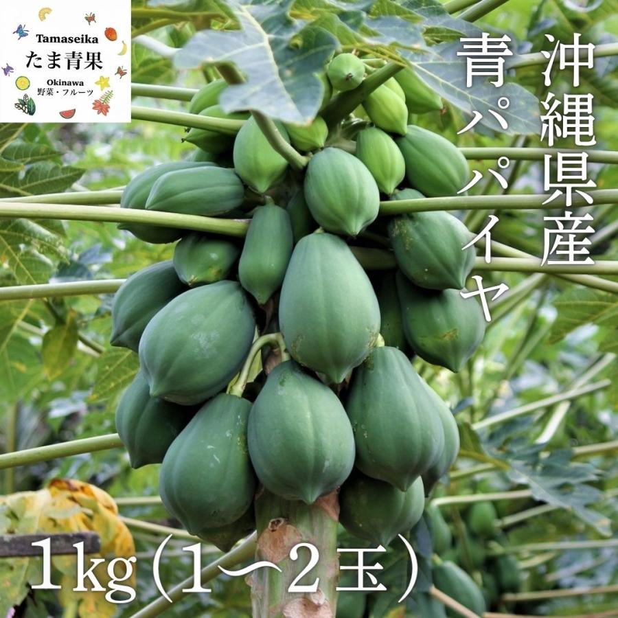 青パパイヤ 約1kg（日付指定不可）沖縄県産 野菜用 : 沖縄市場たま青果