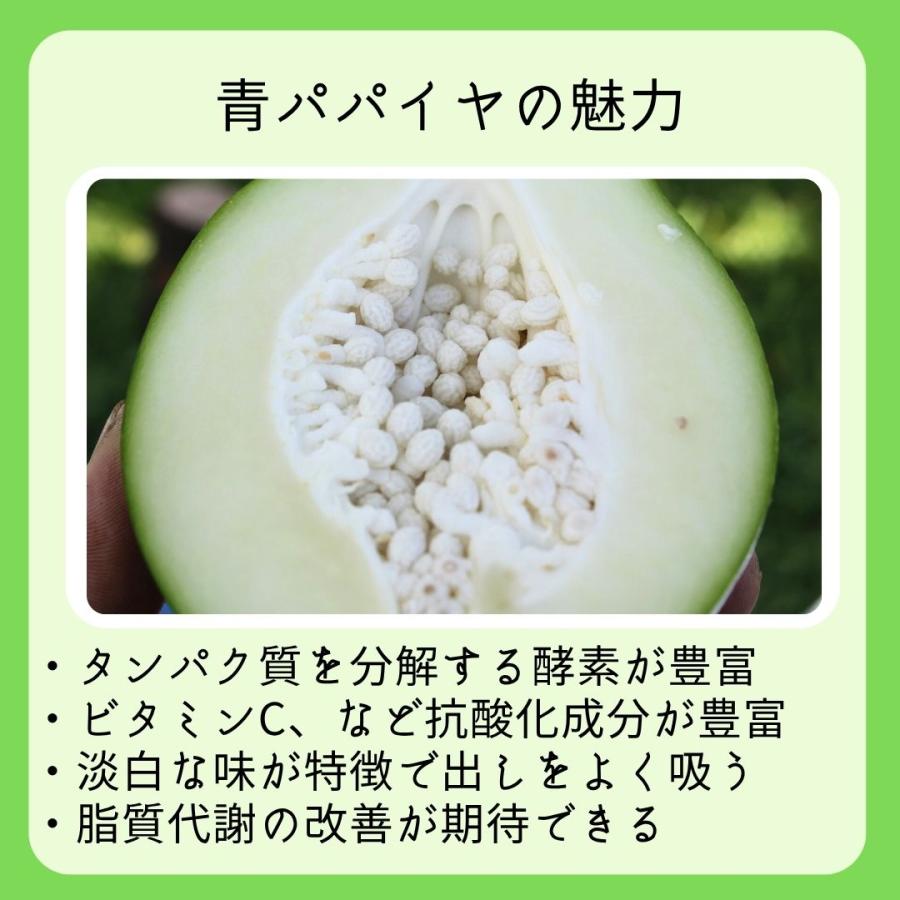 青パパイヤ 約1kg（日付指定不可）沖縄県産 野菜用 : 沖縄市場たま青果
