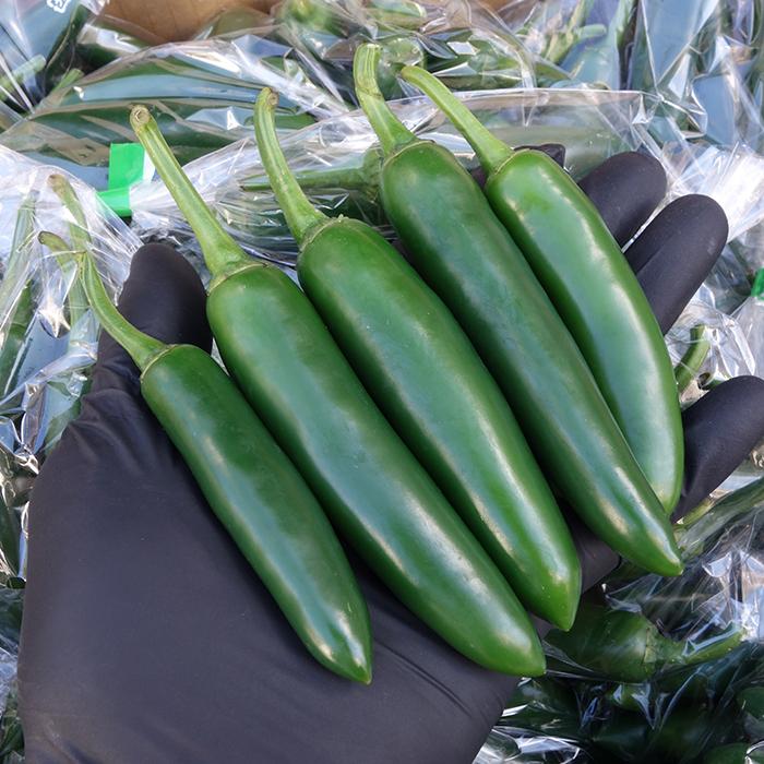 ハラペーニョ 500g 沖縄県産青唐辛子カプサイシンたっぷり メキシコの