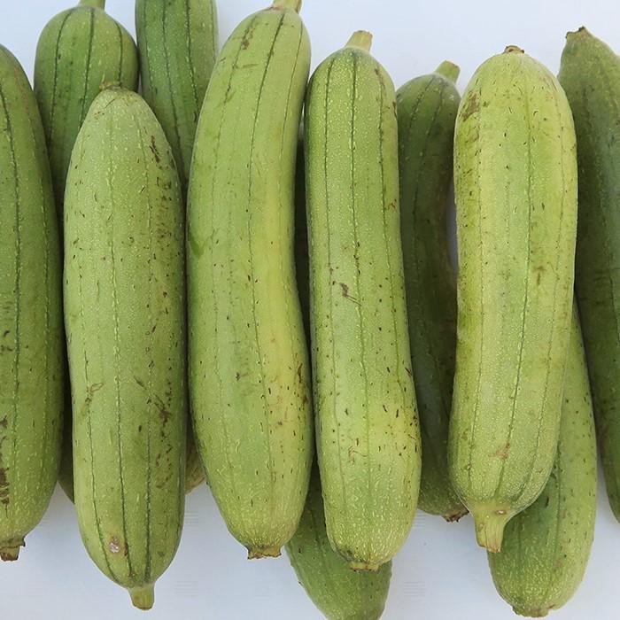 へちま 約1kg 4本前後 沖縄県産（ナーベラー） : 沖縄市場たま青果