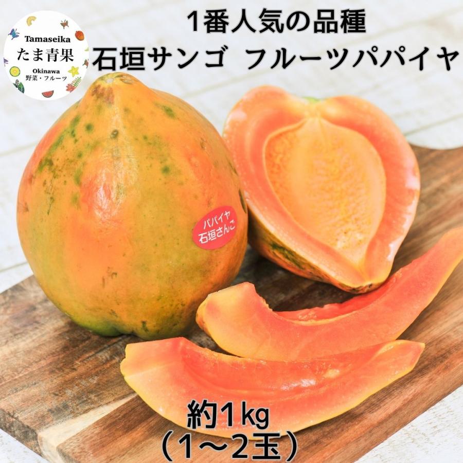 沖繩産フルーツパパイヤ フルーツパパイヤ 約1kg (1〜2玉入り) 【石垣サンゴ】沖縄県産 : 沖縄