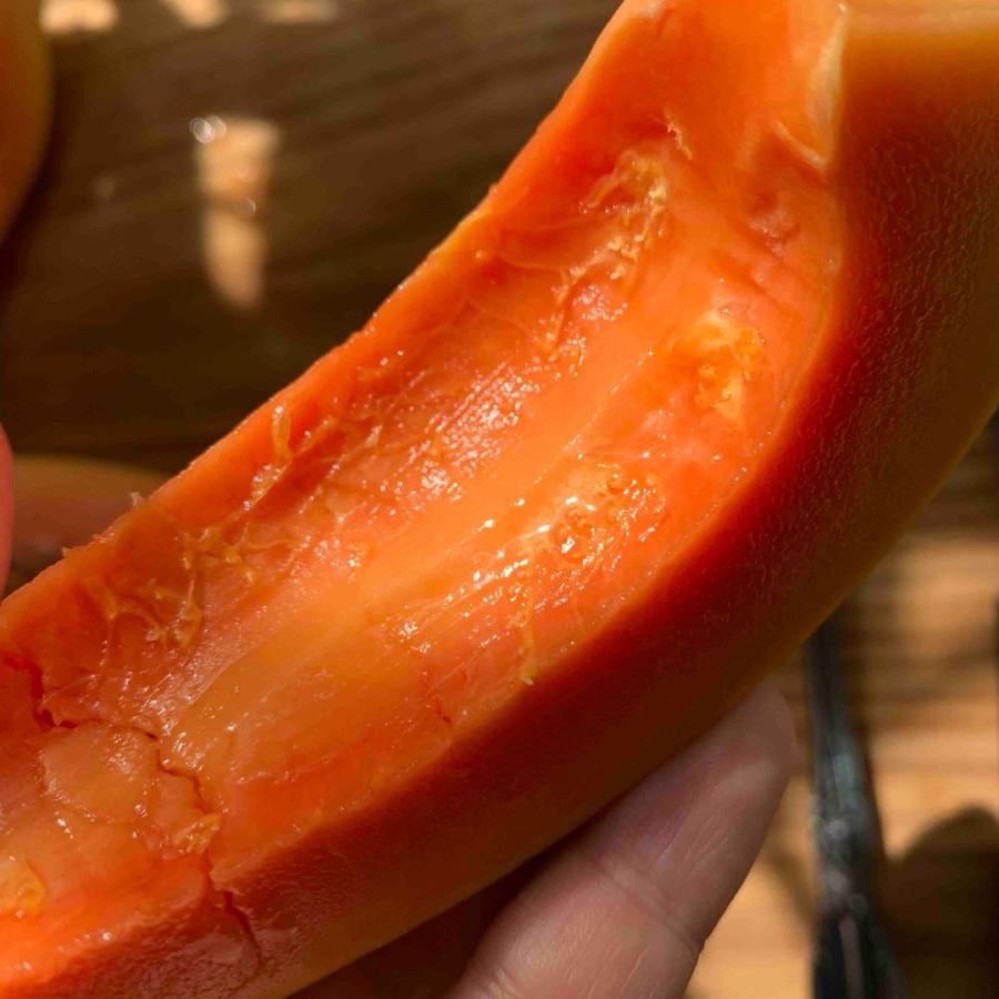 フルーツパパイヤ 約2kg (2〜4玉入り) 【石垣サンゴ】沖縄県産 : 沖縄