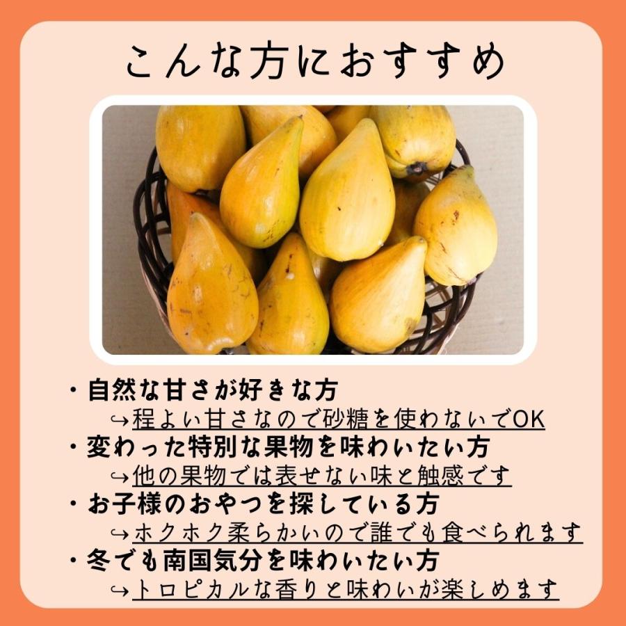 お試し用 カニステル 400g（発送開始1月〜6月）沖縄県産 : 沖縄市場