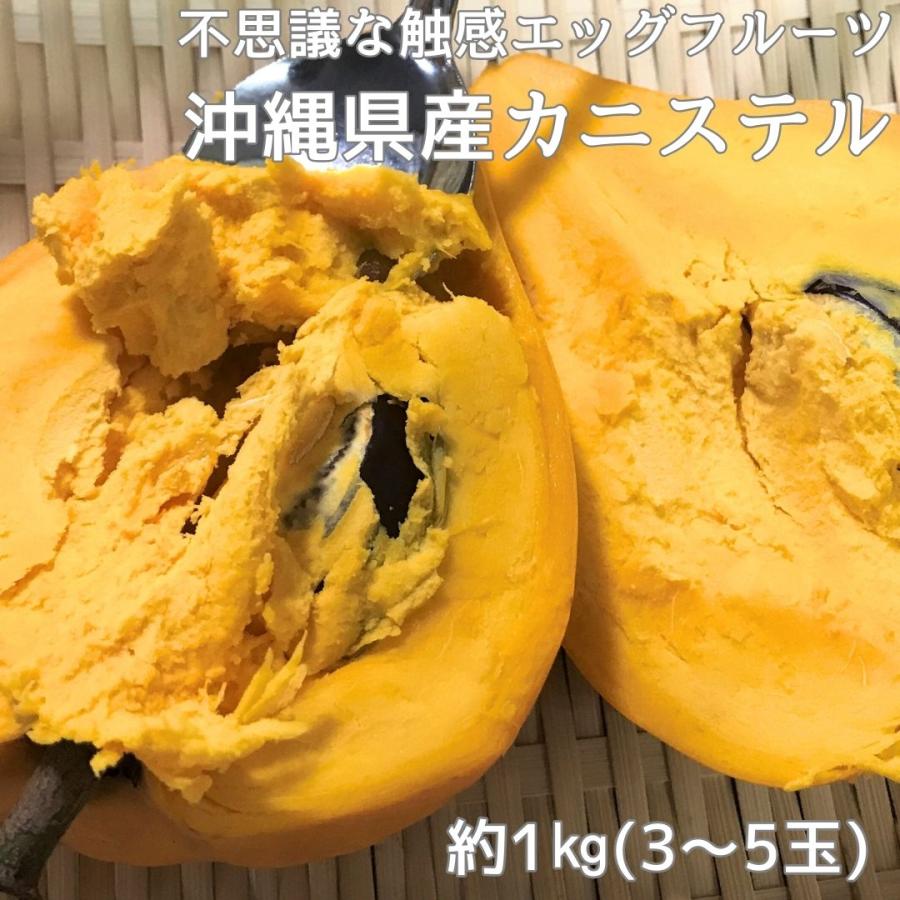 カニステル1kg（発送開始1月〜6月）なにこれ？ジャガイモ？卵の