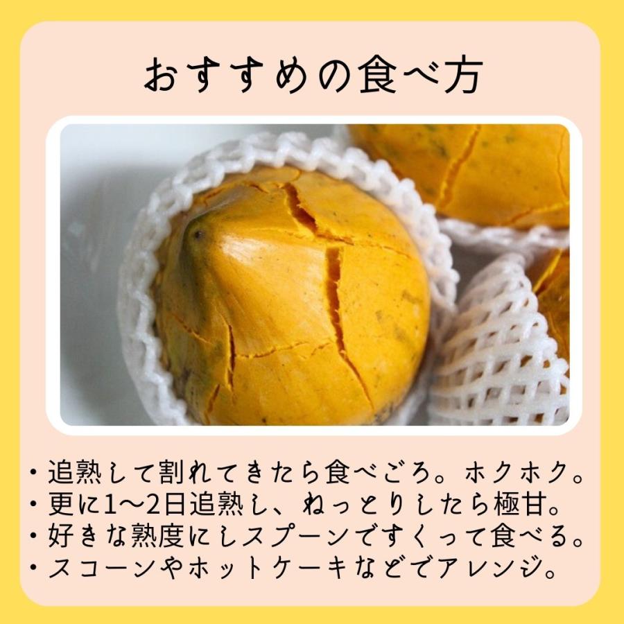 カニステル 2kg （発送開始1月〜6月）なにこれ？ジャガイモ？卵の