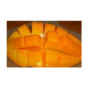 化粧箱】紅金煌（キンコウ）マンゴー約1〜1.2kg（2〜3玉）【発送期間7
