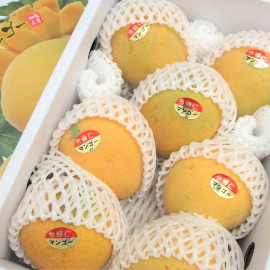 沖縄産☆おすすめ金蜜マンゴー 4玉 2kg