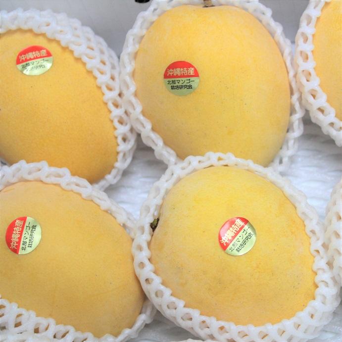 金蜜マンゴー 訳あり 約3kg（5~9個）はちみつのような深い味 発送7月 