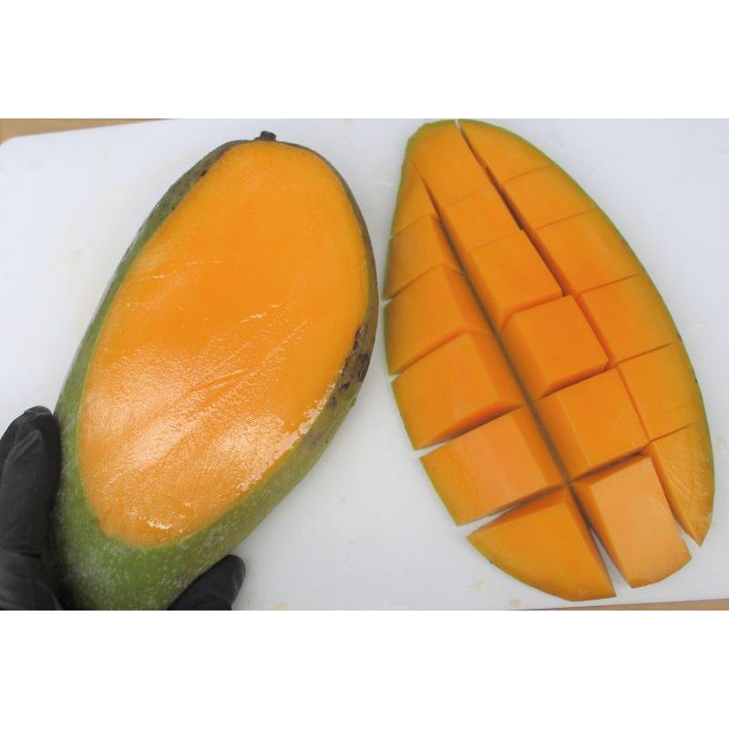 キーツマンゴー 1玉 (約700〜900g) 化粧箱入り 沖縄県産 贈答用に